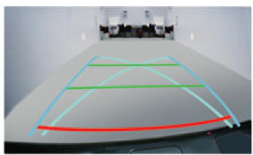 Les traits bleus représentent la direction